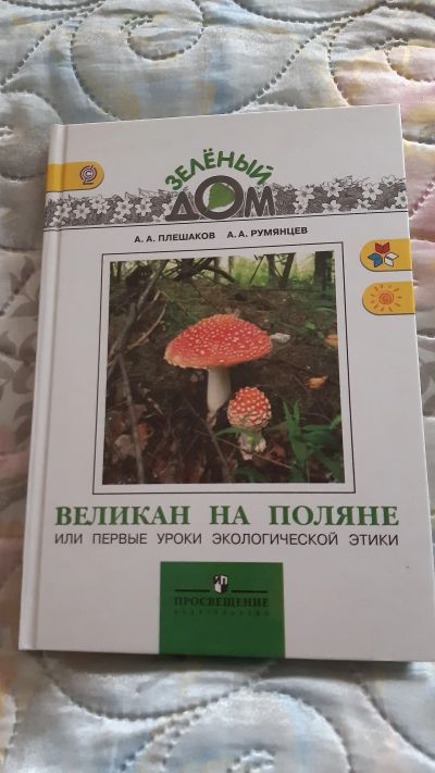 Лот: 18374702. Фото: 1. Книги. Книги для родителей