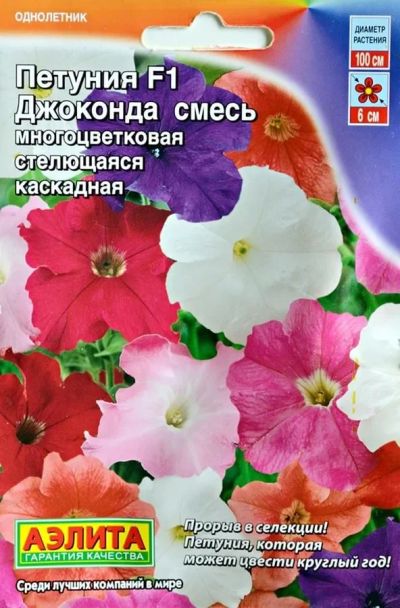 Лот: 9262971. Фото: 1. Рассада каскадной петунии, смесь. Садовые цветы