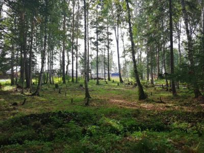 Лот: 11758333. Фото: 1. земельный участок п. Минино Новый... Земельные участки