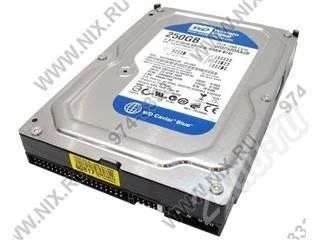 Лот: 465046. Фото: 1. HDD IDE Western Digital 250 Gb... Жёсткие диски (HDD)