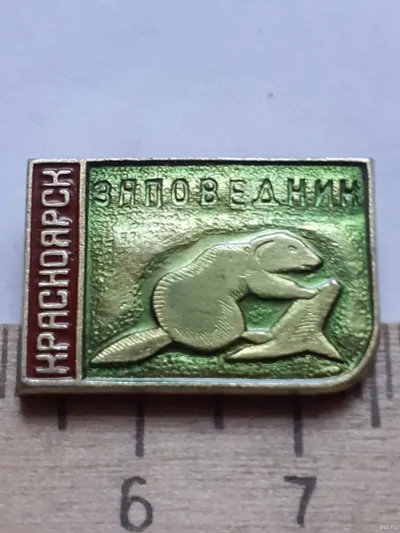 Лот: 24868486. Фото: 1. ( №17601) значки флора фауна,Красноярск... Сувенирные