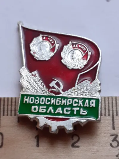 Лот: 19874062. Фото: 1. ( №12762) значки Ленин,Орденоносные... Сувенирные