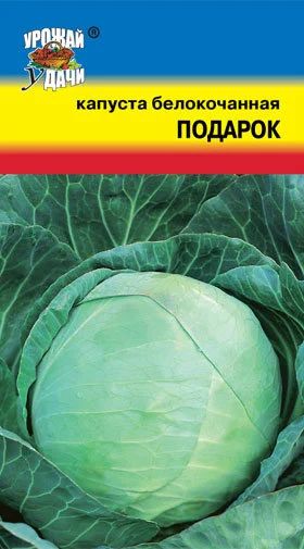 Лот: 11017027. Фото: 1. Семена капусты белокочанной "Подарок... Овощи