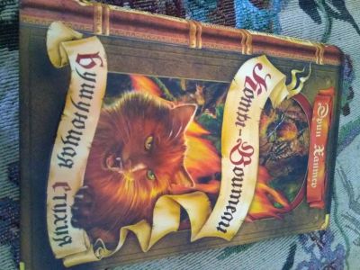 Лот: 20540714. Фото: 1. Бушующая стихия. Серия: Коты-воители... Художественная для детей