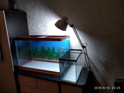 Лот: 14402266. Фото: 1. светильник для аквариума. Оборудование