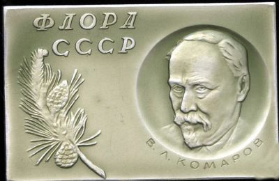 Лот: 19395620. Фото: 1. СССР 1965 Медаль 250 лет Ботаническому... Юбилейные