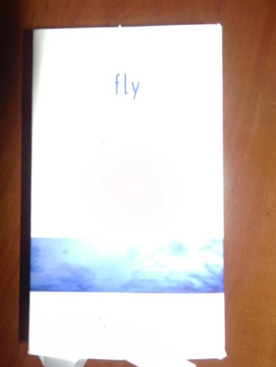 Лот: 10641599. Фото: 1. Продам смартфон FLY FS 451 Nimbus... Смартфоны