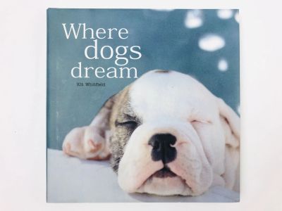 Лот: 23277657. Фото: 1. Where Dogs Dream (Где собаки мечтают... Другое (литература, книги)