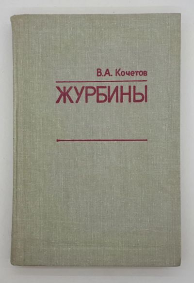 Лот: 25822418. Фото: 1. В. А. Кочетов / Журбины / 1982... Книги