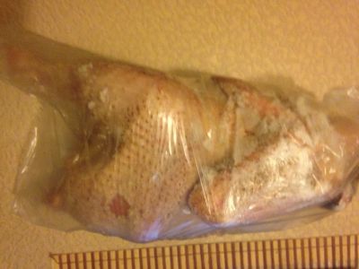 Лот: 4731464. Фото: 1. Домашняя курочка. Мясо, птица, яйцо
