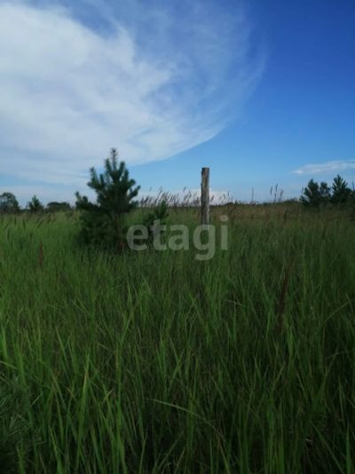 Лот: 25292660. Фото: 1. участок , село Есаулово село Есаулово... Земельные участки