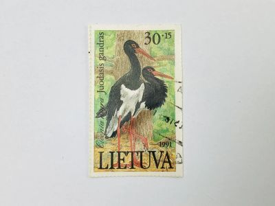Лот: 23314092. Фото: 1. Красная книга Литвы - Птицы. Черный... Марки
