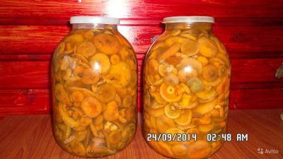 Лот: 4783103. Фото: 1. Рыжики солёные. Грибы
