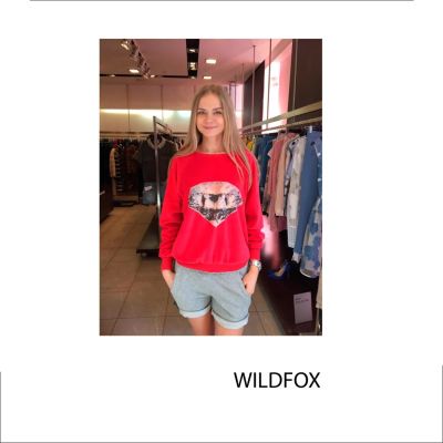 Лот: 6990772. Фото: 1. Свитшот Wildfox. Свитеры, толстовки, худи