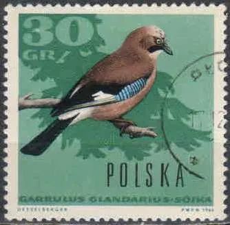 Лот: 21505821. Фото: 1. 1966. Польша. Лесные птицы. н... Марки