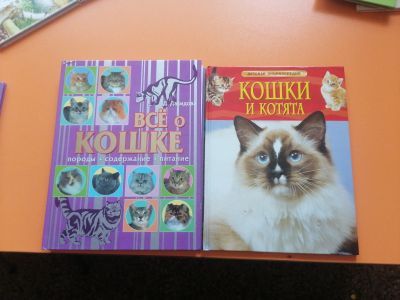 Лот: 20933400. Фото: 1. Книги про кошек. Для школы