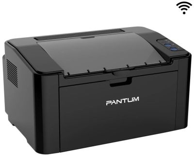 Лот: 12081006. Фото: 1. Принтер лазерный Pantum P2200. Лазерные принтеры