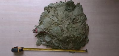 Лот: 16767058. Фото: 1. Дубовый веник. Банные принадлежности