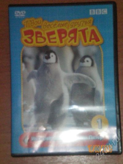 Лот: 28561. Фото: 1. твои веселые друзья зверята DVD. Красноярск