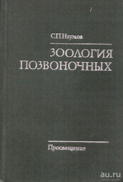 Лот: 14007305. Фото: 1. Наумов Сергей - Зоология позвоночных... Для вузов