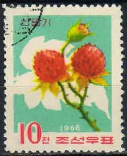 Лот: 21440149. Фото: 1. 1966. Северная Корея. Дикие фрукты... Марки