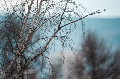 Лот: 11367226. Фото: 1. телеобъектив ЗМ-5А. Объективы