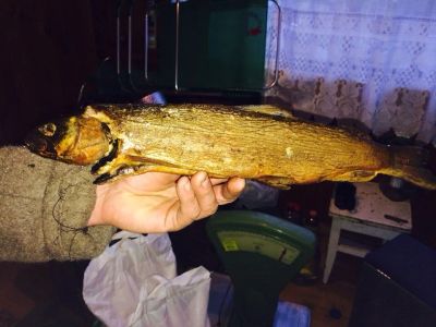 Лот: 4705308. Фото: 1. Хариус копчёный. Икра, рыба, морепродукты
