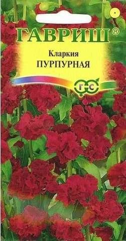 Лот: 11025127. Фото: 1. Кларкия изящная Пурпурная* 0,1... Садовые цветы