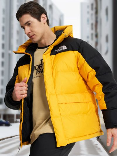 Лот: 24577020. Фото: 1. Пуховик мужской The North Face... Другое (спортивная одежда)