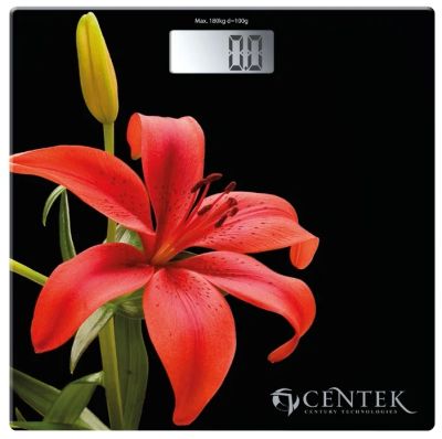Лот: 11220611. Фото: 1. Весы напольные Centek CT-2416... Остальная техника