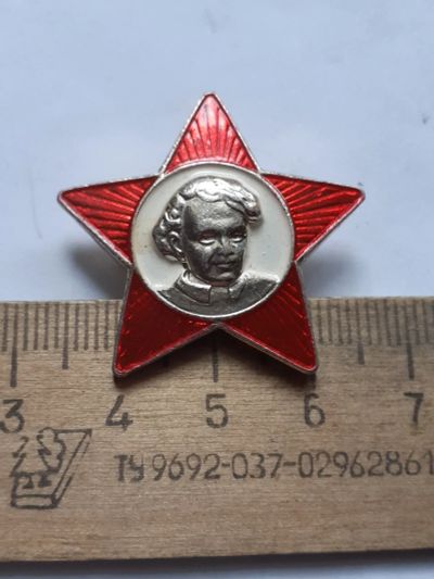 Лот: 25395983. Фото: 1. ( № 18190) значки Октябрята,Ленин... Сувенирные