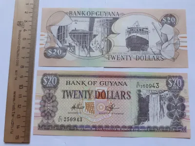 Лот: 20969333. Фото: 1. Гайана 20 долларов 2009 год (люкс... Европа