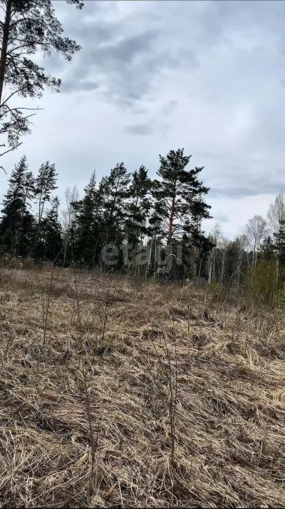 Лот: 25285498. Фото: 1. участок , ДНТ Новый Мир ДНТ Новый... Земельные участки