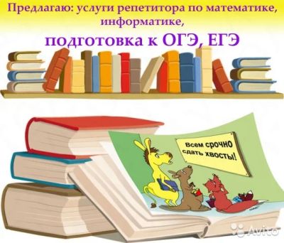 Лот: 10640333. Фото: 1. Репетитор по математике и информатике... Другое (учёба (школа, вуз))