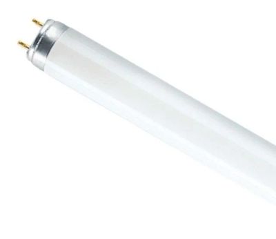 Лот: 17205336. Фото: 1. Лампа Osram L36W/640 &quot;желтый... Лампочки