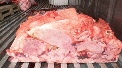 Лот: 6646090. Фото: 1. Субпродукты на корм собакам и... Корма