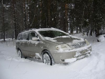 Лот: 4798140. Фото: 1. Toyota Fielder 2002. Автомобили