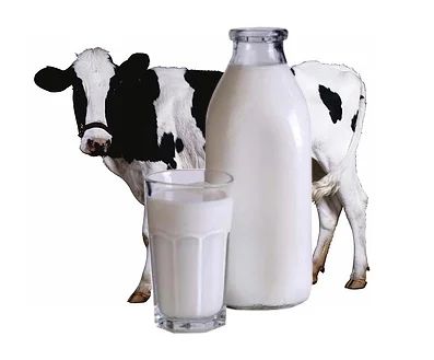 Лот: 10173732. Фото: 1. Молоко от фермера. Натуральное... Молоко и молочные продукты