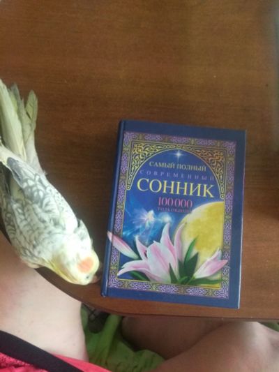 Лот: 17441875. Фото: 1. Сонник. Религия, оккультизм, эзотерика