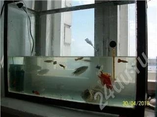 Лот: 339001. Фото: 1. Аквариум с оборудованием без рыбок... Аквариумы, террариумы
