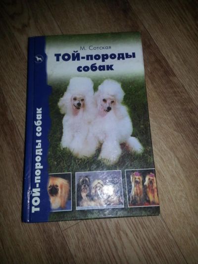 Лот: 6288364. Фото: 1. Той-породы собак М.Сотская. Домашние животные