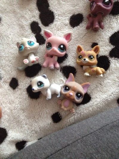 Лот: 6797404. Фото: 1. Игрушки LPS Littlest pet shop. Игрушки
