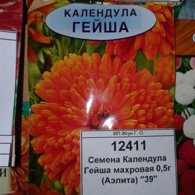 Лот: 9118098. Фото: 1. Семена / цветы / Календула / Гейша... Садовые цветы