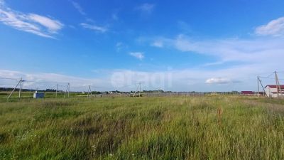 Лот: 25602082. Фото: 1. участок , село Есаулово Плодовая... Земельные участки