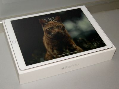 Лот: 12874295. Фото: 1. Планшет Apple iPad Pro 12,9 дюймов... Планшеты