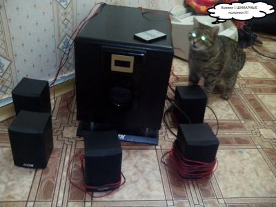 Лот: 3827068. Фото: 1. Продам акустику 5.1 BBK SP550S... Акустические системы