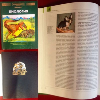 Лот: 5958174. Фото: 1. серия энциклопедий аванта плюс. Энциклопедии