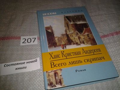 Лот: 6877949. Фото: 1. Всего лишь скрипач, Ганс Кристиан... Художественная для детей