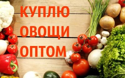 Лот: 10031996. Фото: 1. Овощи оптом. Овощи, фрукты, зелень