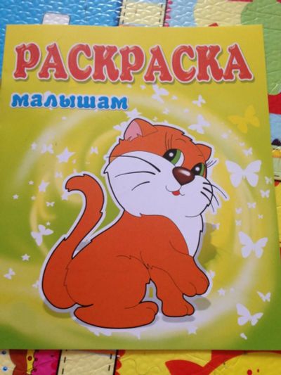 Лот: 9219355. Фото: 1. раскраска котенок. Развивающие